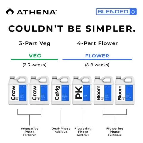 athena blended starter kit-2