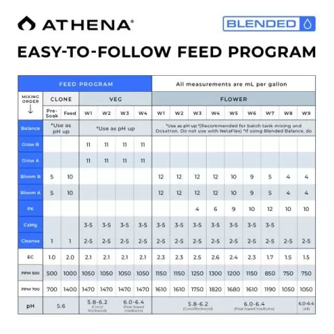 athena blended starter kit-3