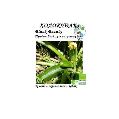 BIO Κολοκύθι Black Beauty 1gr