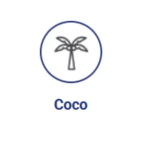Dual Part Coco Grow 500ml