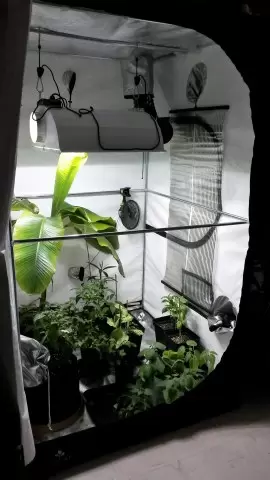 Solea Ultra Flat Heater 60cmx58cm